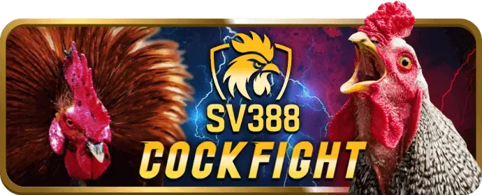 Dịch Vụ Chăm Sóc Cá Nhân